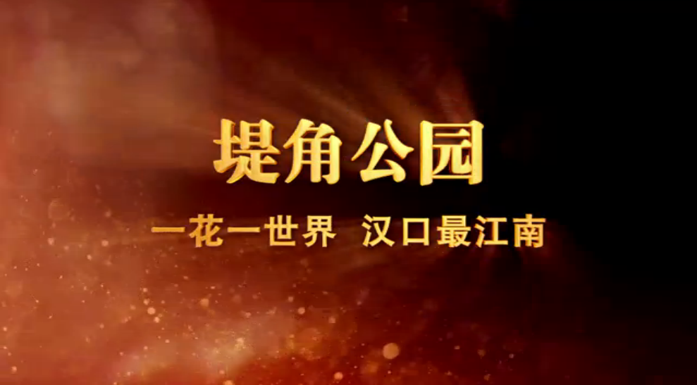 堤角公园.png
